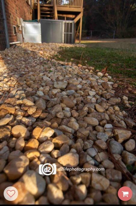 Pine Forest Zen Cottage - 10 Min To Fort Bragg Fayetteville Esterno foto